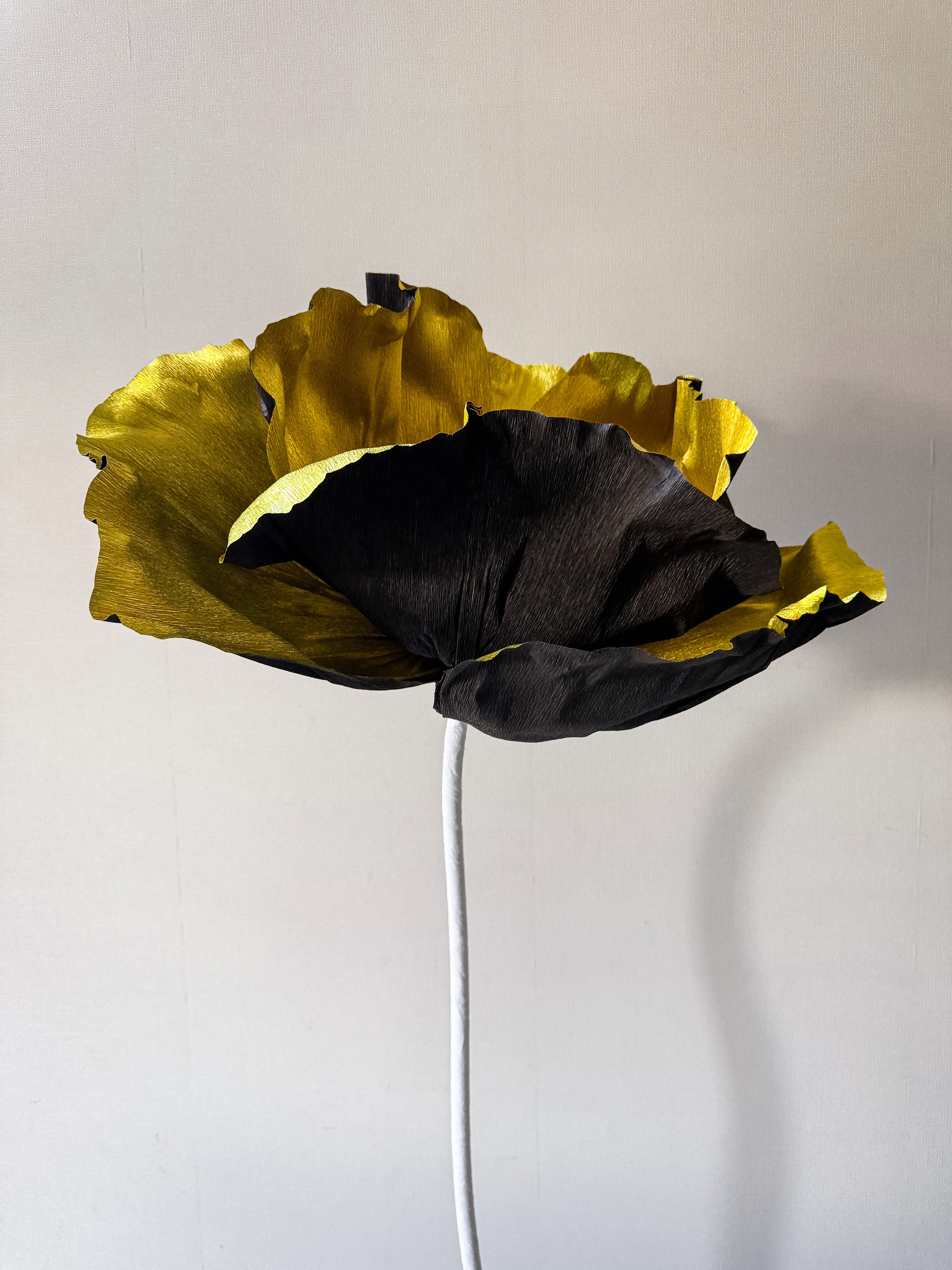 Dubai installation 3